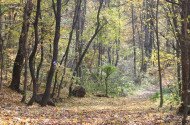Náučný chodník Felsőtárkány – Vár-hegy 