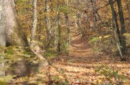 Náučný chodník Felsőtárkány – Vár-hegy 