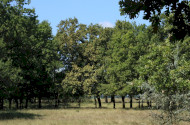 Szalakóta tanösvény