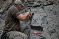 Őslénytani Délután az Ősmaradványoknál – A dinoszauruszoktól a láthatatlan világig