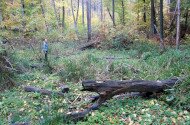 Répáshuta - Rejteki természetismereti tanösvény I. (kis kör)