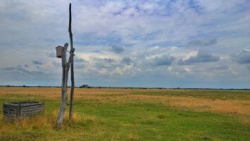 Kik laknak a fűben, avagy mire is jó az a sok gyep?