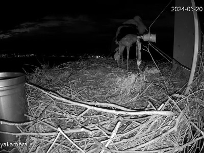 SnapShot-20240520_212638_záptojás_forgatása