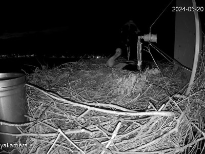 SnapShot-20240520_213824_kotlás_záptojáson