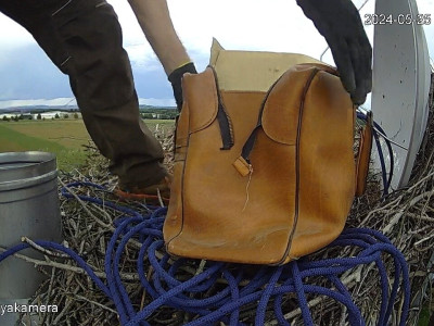 SnapShot-20240525_175826_zsákosember