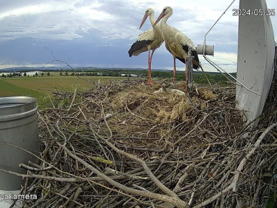 SnapShot-20240525_181837_együtt