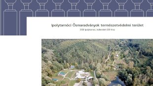 Kulturális Örökség Helyszín az Ősvilági Pompeji