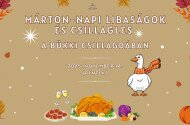 Márton-napi libaságok és csillagles a Bükki Csillagdában