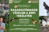 Mátra Kincsei téli előadássorozat - Ragadozómadár-védelem a BNPI területén