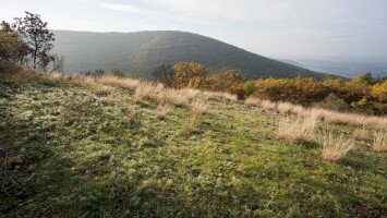 Mátra Protected Landscape Area