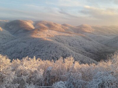 25551317_1948254072092629_1177474215_o