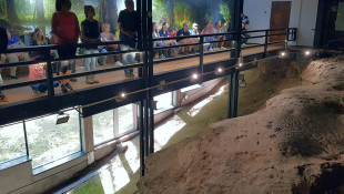 Miocén Park Ősvilági Túrája