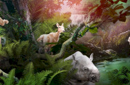 Miocene time travel at Ipolytarnoc Fossils