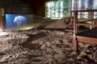Mother Earth Day at the Miocene Forest