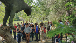 Mother Earth Day at the Miocene Park of Ipolytarnoc
