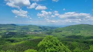 Panoráma
