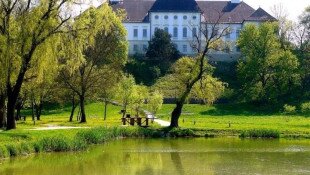 Park of the Forgách-palace in Szécsény