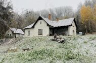 Télbúcsúztató madárgyűrűzés Jávorkúton