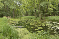 BETELT - Vizes Élőhelyek Világnapja