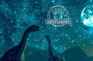 Prehistoric Stargazing at the Ipolytarnoc Fossils