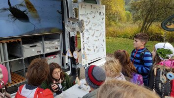 Summer Nature Programs in the Miocene Park