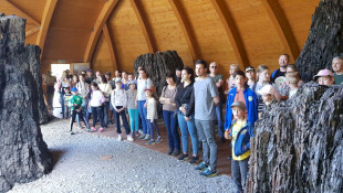 Survival tour at the Miocene Park