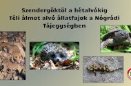 Szendergőktől a hétalvókig - Téli álmot alvó állatfajok a Nógrádi Tájegységben
