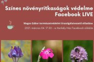 Színes növényritkaságok védelme - Facebook LIVE