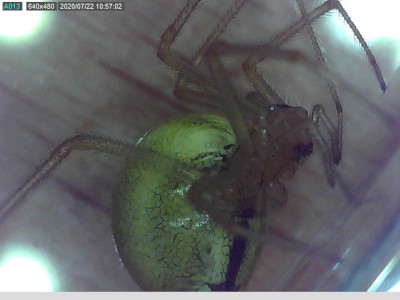 pok02