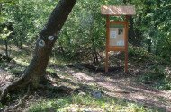 Náučný chodník Felsőtárkány – Vár-hegy 