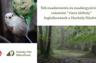Téli madáretetés és madárgyűrűzés, valamint 