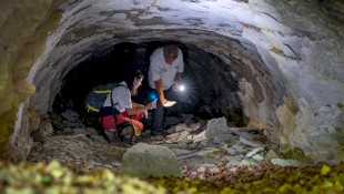 Tematikus fatörzsbarlang túra a Miocén Parkból a felvidéki oldalra