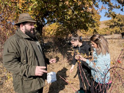 vm_bukk_20211030_33-332042