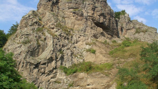 The Owl Castle