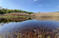 BETELT - Vizes Élőhelyek Világnapja