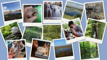 Vizes Élőhelyek Világnapja