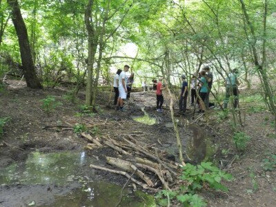 P1210778_kép forrása_BNPI