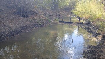 Víz! te enyhet adó… - VízŐrző Akció sikere a Telki-legelőn