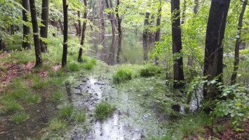Víz Világnapi programok Felsőtárkányban